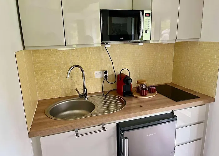 Nordika Bain Nordique - Nature- Paris- Parc Asterix 10 Pers *