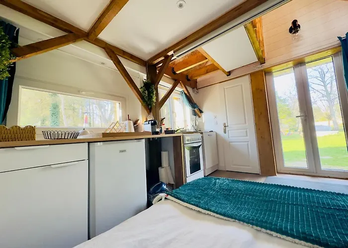 Nordika Bain Nordique - Nature- Paris- Parc Asterix 10 Pers